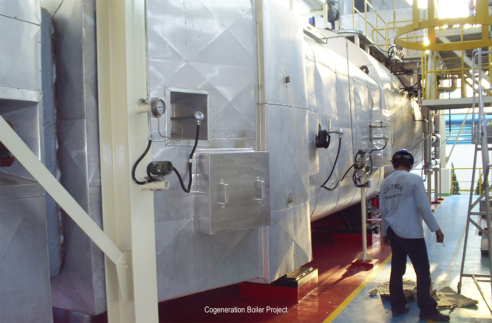 Cogeneration Boiler Upgrade 2