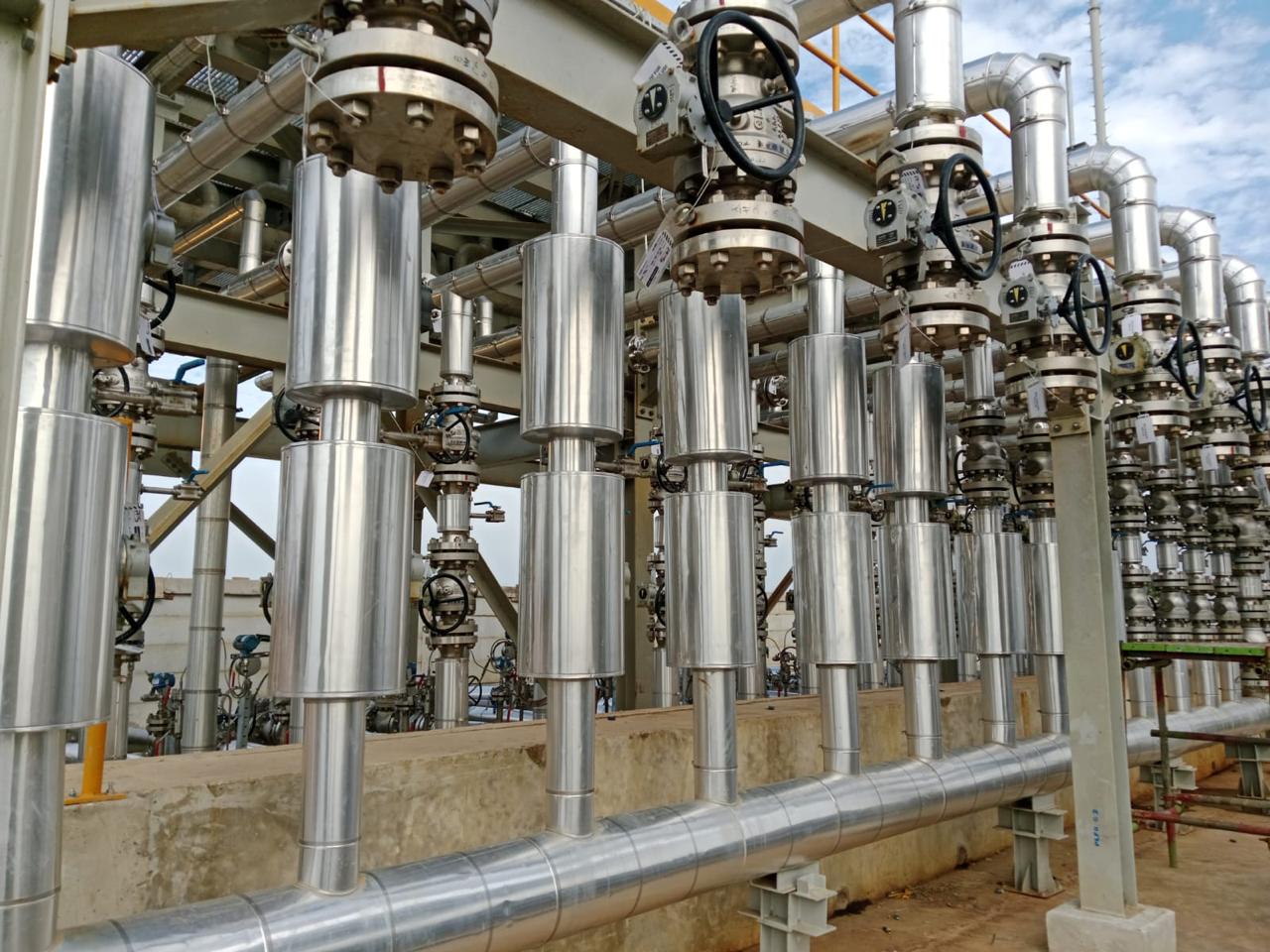 Shell Chrysalis Project - View 3