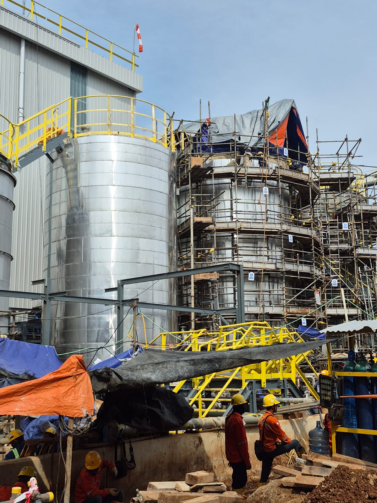 Shell Chrysalis Project - View 4