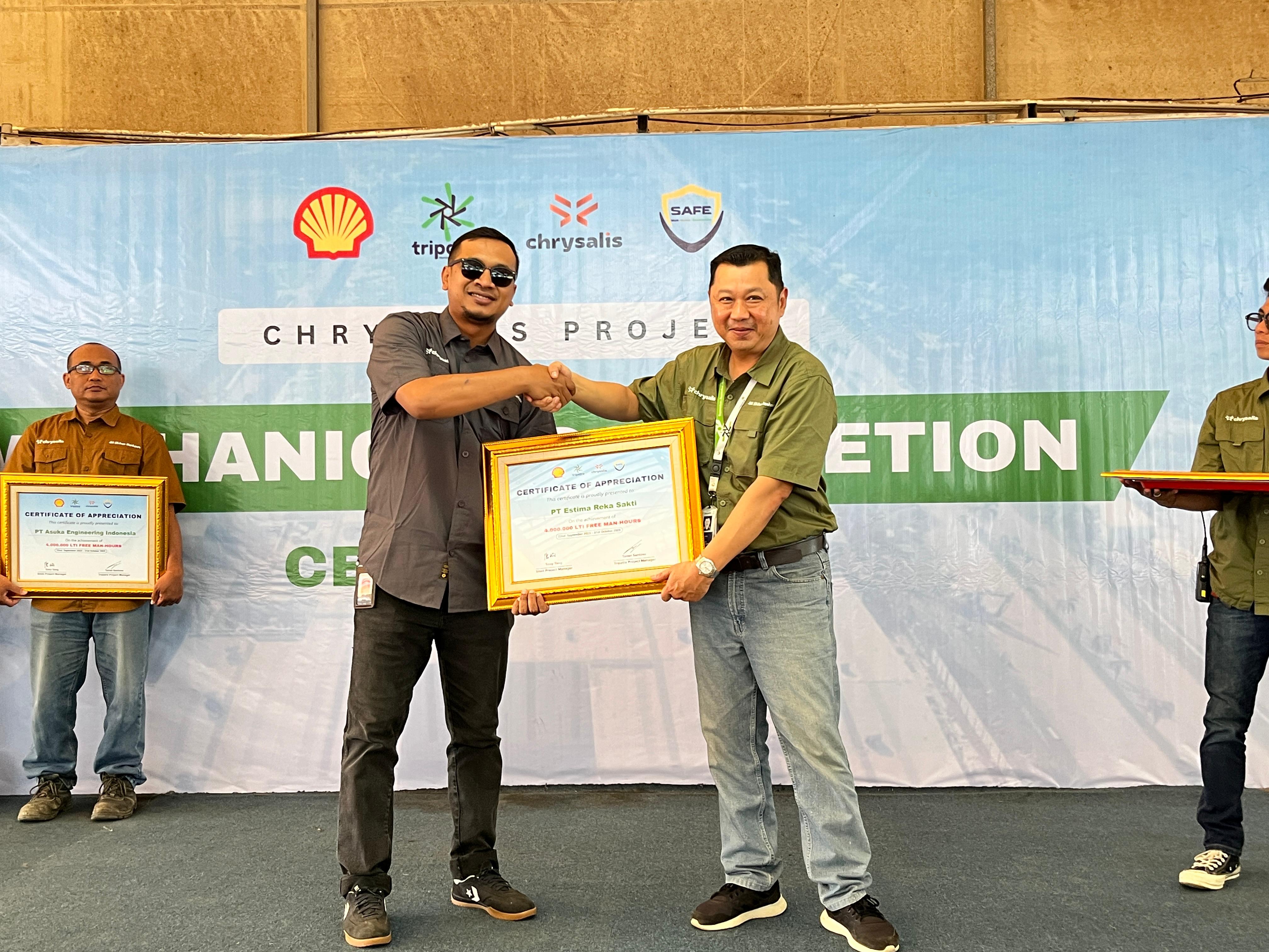 Shell Chrysalis Project - View 6